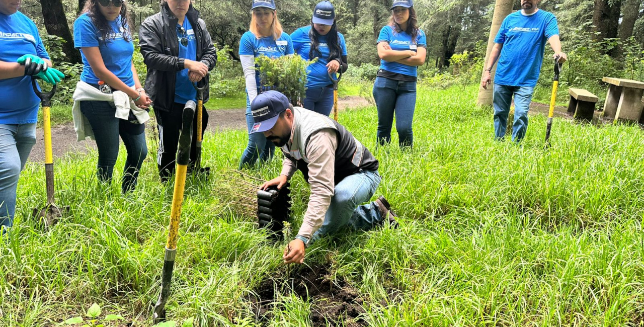 ANPACT y asociados refuerzan su compromiso ambiental con reforestación en Ocoyoacac, Estado de México