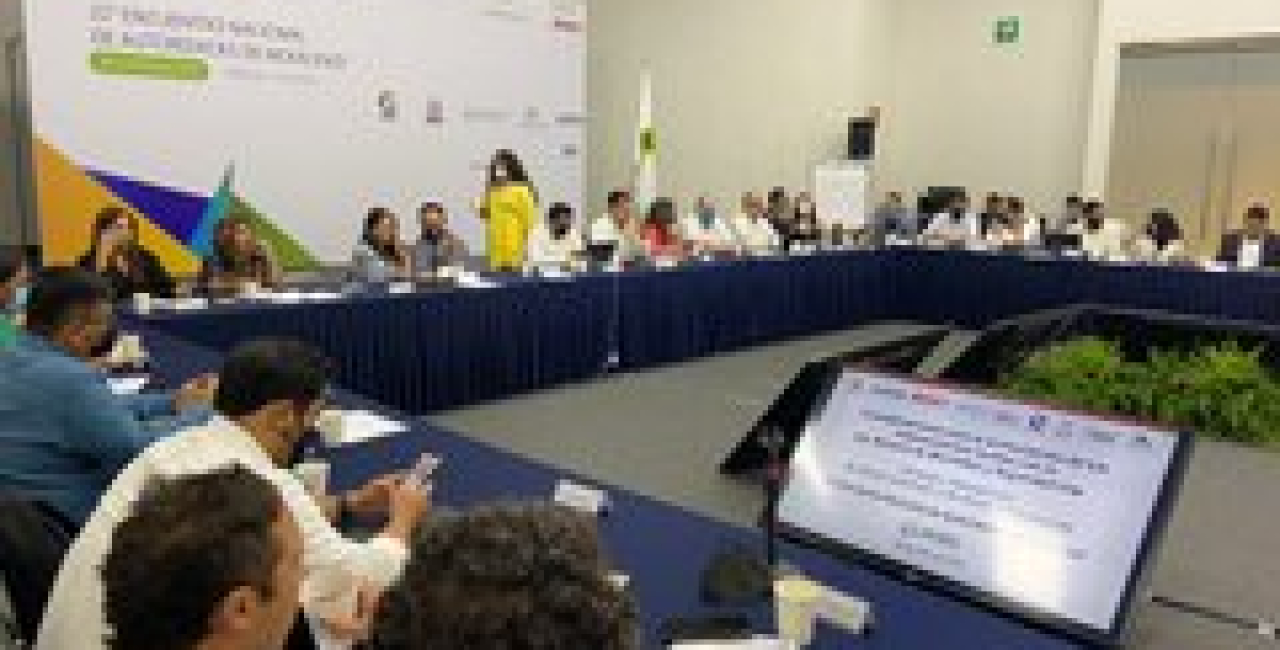 CONSIDERACIONES PARA LA ARMONIZACIÓN DE LOS ORDENAMIENTOS LOCALES CON LA LEY GENERAL DE MOVILIDAD Y SEGURIDAD VIAL